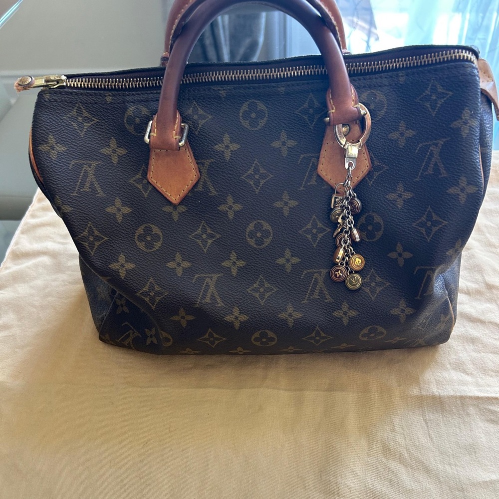 Louis Vuitton Monogram Hobo Bag in Brown and Tan